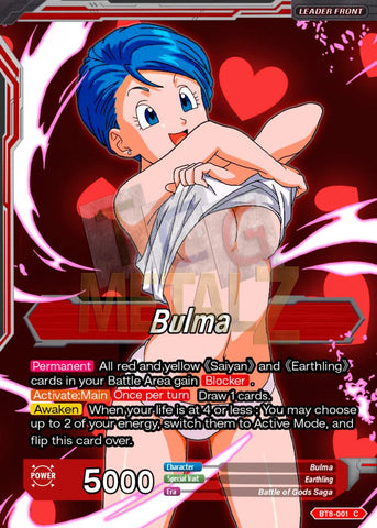 Adult Familial Bonds Bulma Metal Dbs Leader